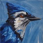 Study 1 Blue Jay
5x5 Oil