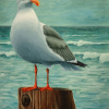 Gull at Sea
Acrylic Sold